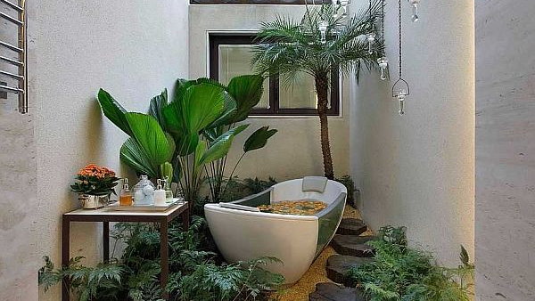 Секреты озеленения для ванной комнаты