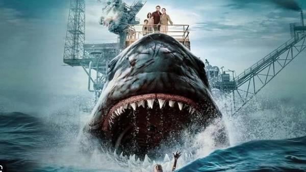 Почему мы любим фильмы об акулах и какие стоит посмотреть прямо сейчас