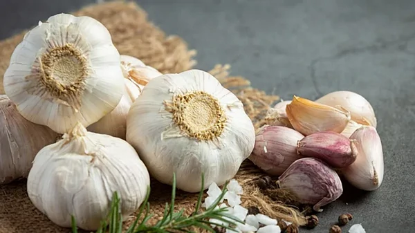 Свежий или сухой: в каком виде чеснок полезнее