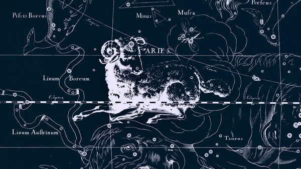 Стрельцам - деньги, Рыбам - высокие должности: о чем мечтают знаки Зод...