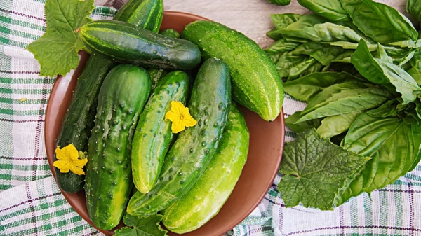 Вот как огурцы влияют на здоровье: эксперты назвали 8 научно доказанны...