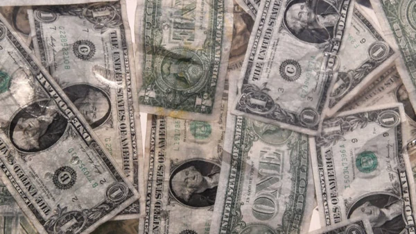 Як відбувається обмін пошкоджених доларів та євро у Львові покроково