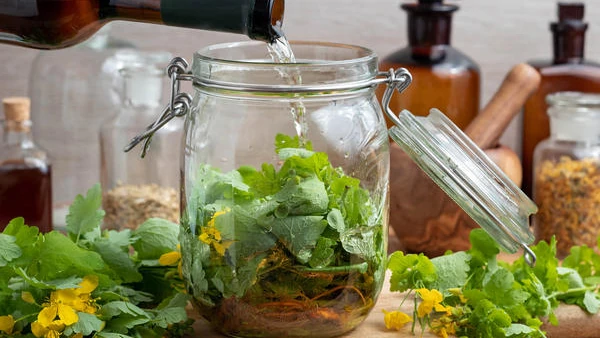 Народные рецепты для суставов