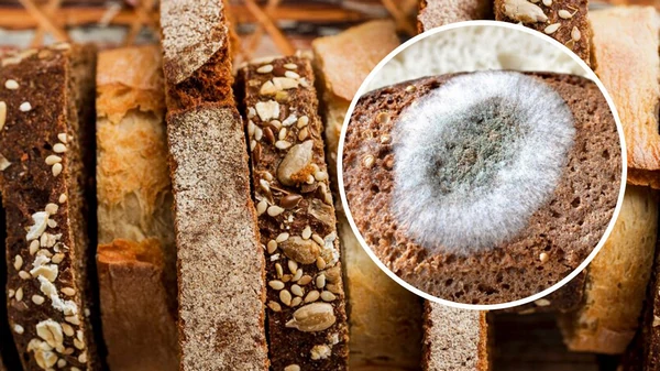 Его есть нельзя. Эксперт объяснила, откуда на хлебе появляются белые п...