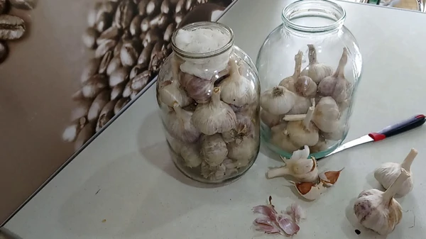 Как сохранить чеснок зимой