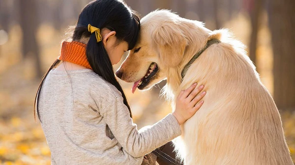 Лучше друга не найти: названы самые преданные собаки