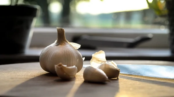 Положите это в лунку к озимому чесноку — получите огромный урожай: вы ...