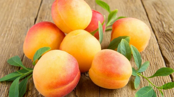 Как правильно заморозить абрикосы: целиком, половинками, с сахаром