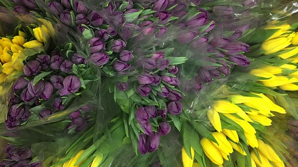 Как сохранить букет: несколько способов продлить жизнь тюльпанам