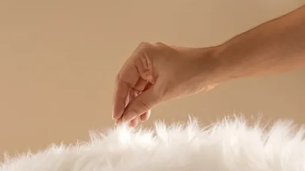 Мягкий и блестящий: чем в домашних условиях почистить мех на куртке