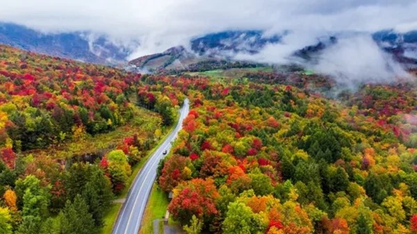 Метаморфозы природы: почему листья на деревьях осенью меняют свой цвет