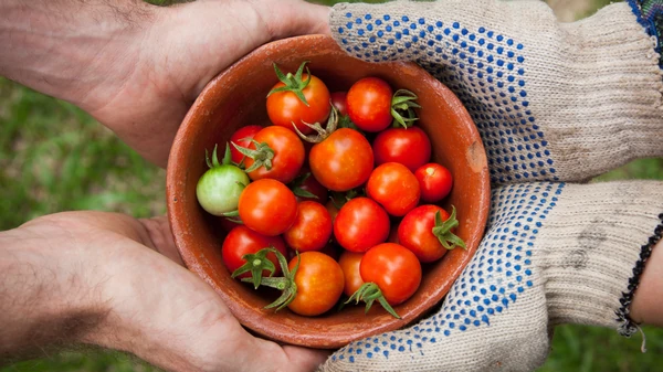 9 продуктов, которые спасут вашу жизнь