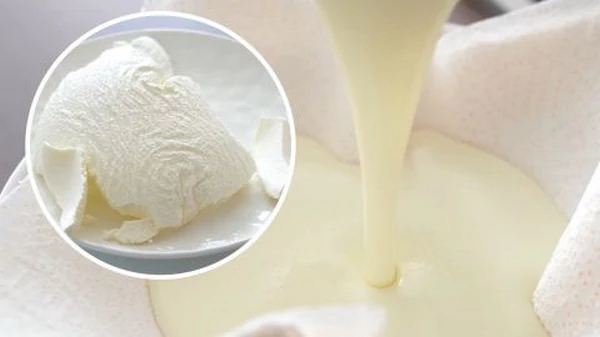 Как приготовить вкусный крем-сыр дома из трех продуктов