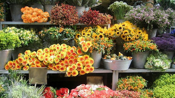 Бизнес: продажа цветов оптом