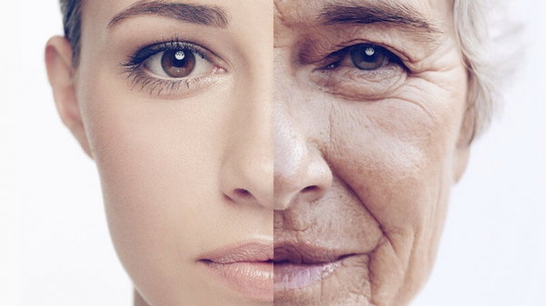 Замедлители старения: старость начинается от сигнала мозга