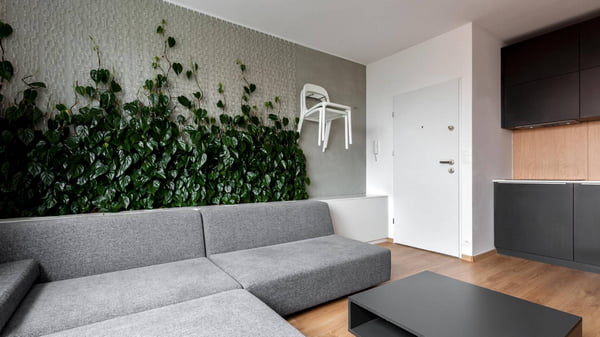 Комнатные растения в дизайне квартиры