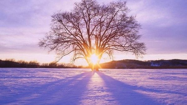 День зимнего солнцестояния – самый энергетический день в году: что категорически нельзя делать