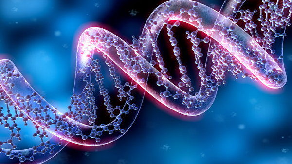 Ученые нашли способ вылечить почти все генетические заболевания