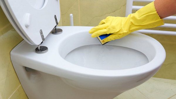 Как правильно чистить туалет