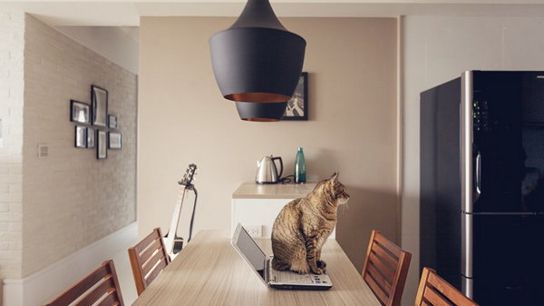 Как обустроить квартиру, где живет кошка