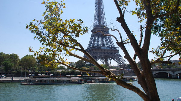 Главные ошибки, которые совершают путешественники в Париже