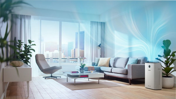 Как очистить воздух в квартире: шесть способов