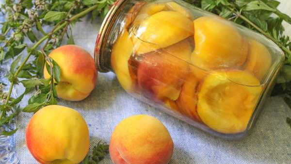 Персики в сиропе на зиму: рецепт вкусной домашней заготовки