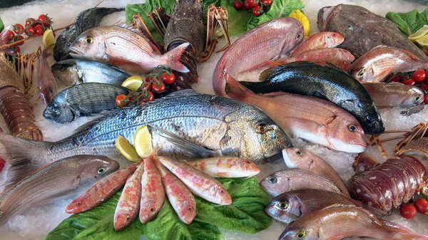 Осторожно — ртуть! 10 видов рыбы, которую лучше не есть